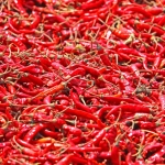 Слот Chilli Heat Megaways для любителей природы и острых ощущений