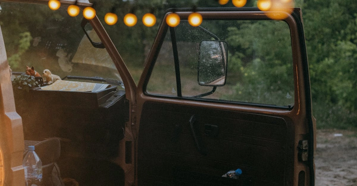 Развлечения в походе и игровые приложения для отдыха на природе