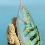 Мобильная игра Lucky Jet для отдыха на рыбалке