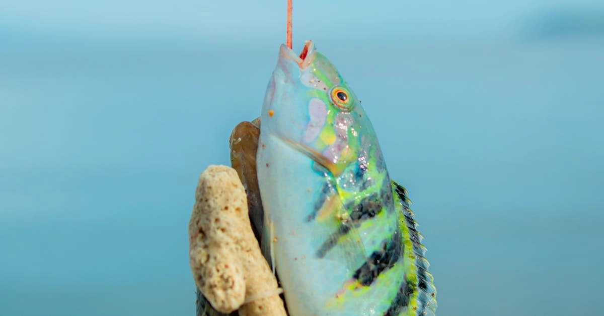 Мобильная игра Lucky Jet для отдыха на рыбалке