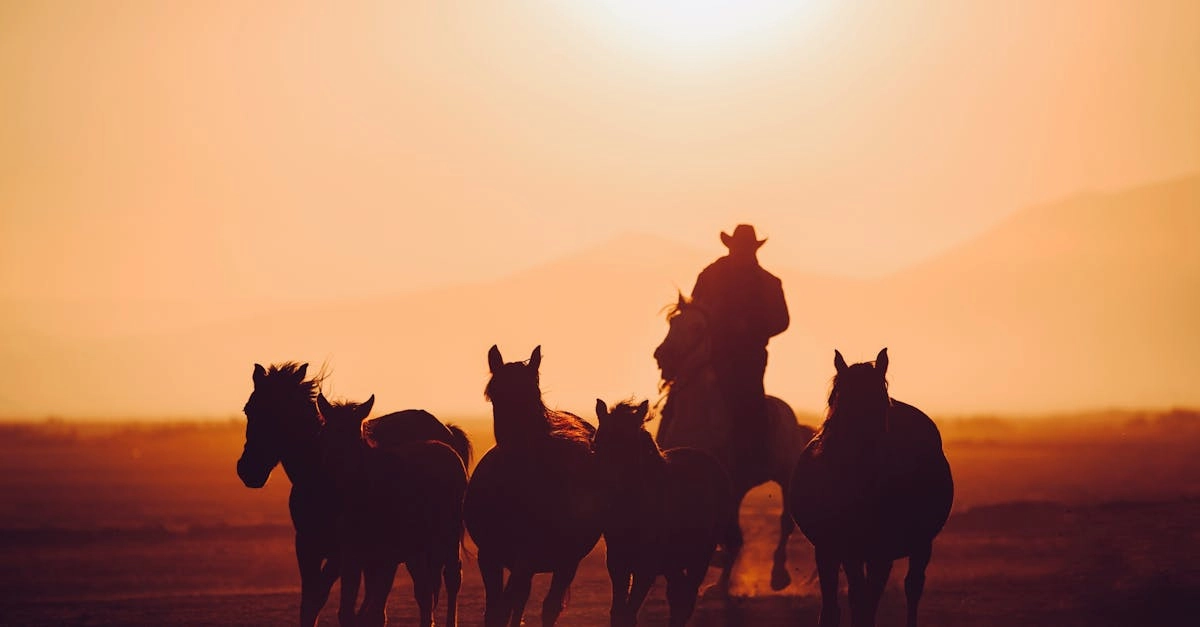 Виртуальные приключения для любителей активного отдыха